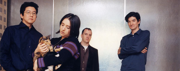 The Magnetic Fields: Realism