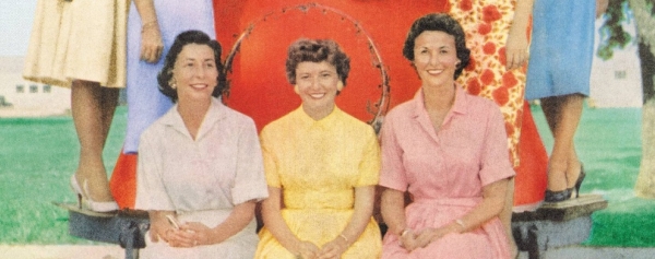 El club de las esposas de astronautas, también serie de televisión