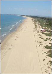 Nace el South Pop Festival playero