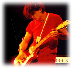 The white stripes: Elephant