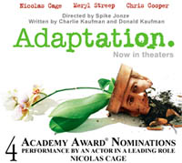Adaptation