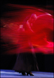 Flamenco, baile y música de fusión
