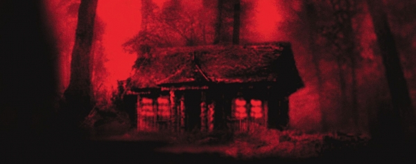 Cabin Fever tendrá un remake… que tirará del mismo guión
