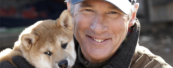 Siempre a tu lado. Hachiko