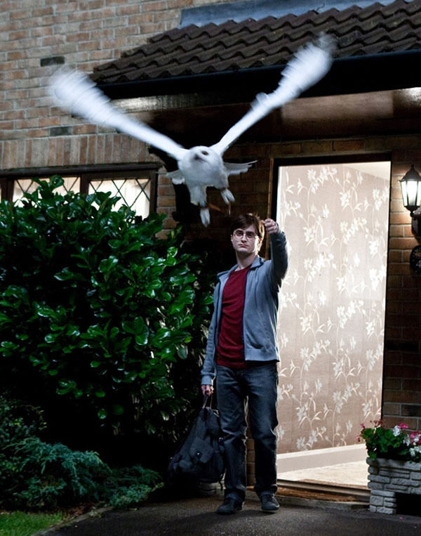 Harry Potter y las reliquias de la muerte · Imagen 1