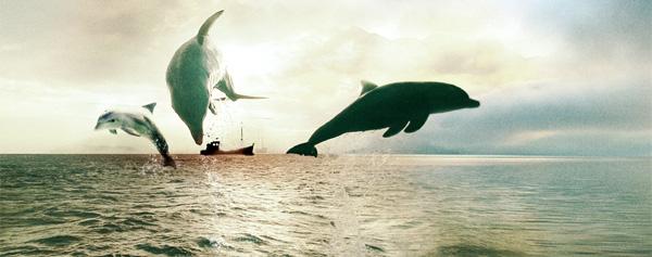 The Cove